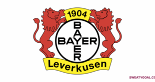 Bayer Leverkusen has become one of the most exciting football clubs in Europe. Known for their attacking style and strong youth development.