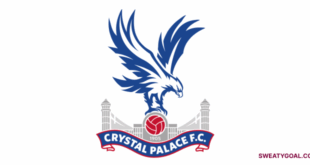 Crystal Palace 1-0 victory vs Manchester City in the 2025 FA Cup Final marks a historic event for the club, first major trophy in 164 years.